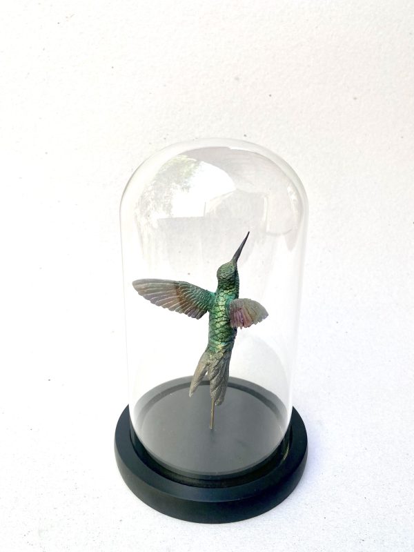 Colibri zafiro en resina - Imagen 3