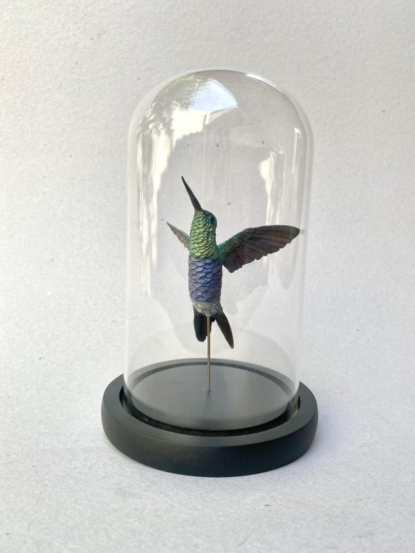 Colibri zafiro en resina - Imagen 2