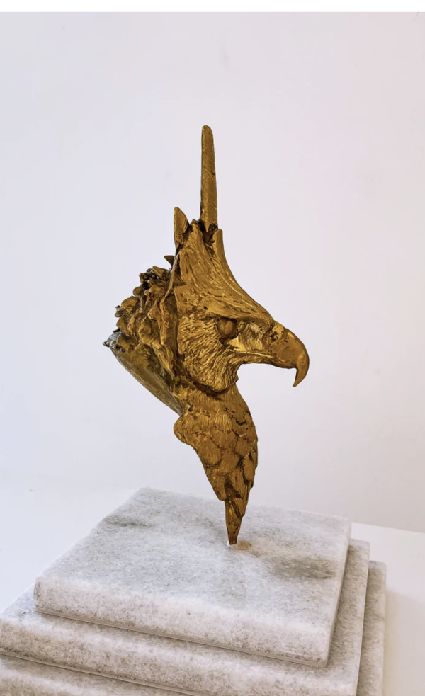 Busto aguila crestuda real