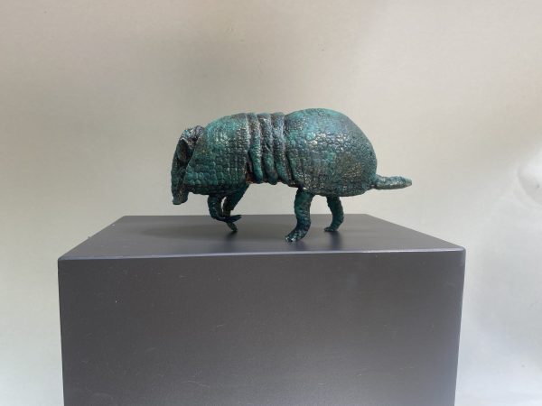 Armadillo de 3 bandas - Imagen 2