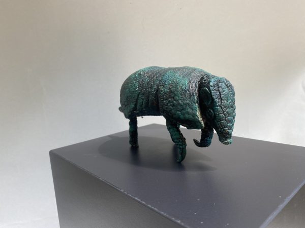 Armadillo de 3 bandas - Imagen 3