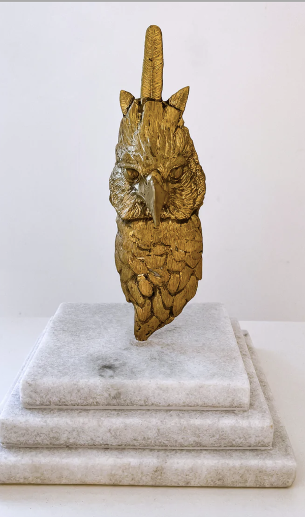 Busto aguila crestuda real - Imagen 3