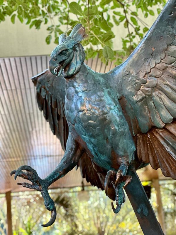 Águila Harpia - Imagen 3