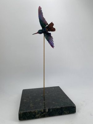 Colibri cola castaña