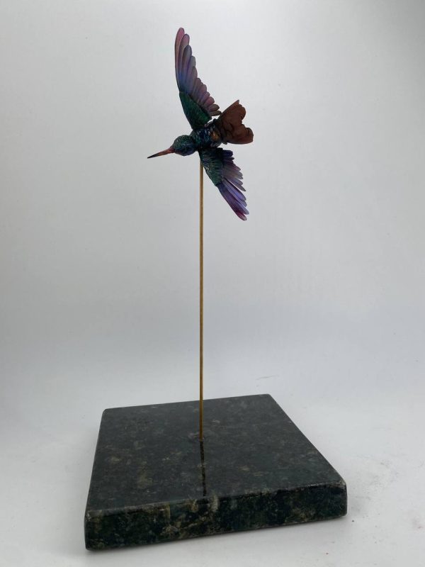 Colibri cola castaña