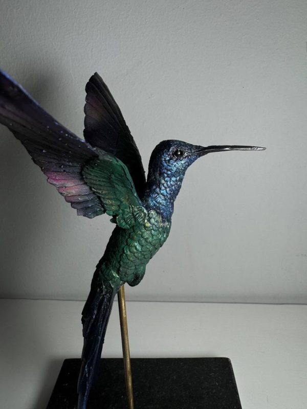 Colibri cola de tijera - Imagen 2