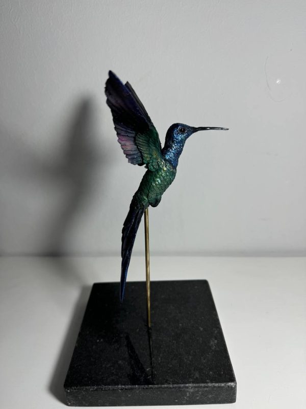 Colibri cola de tijera - Imagen 3