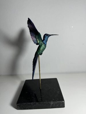 Colibri cola de tijera