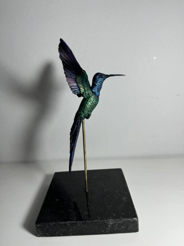 Colibri cola de tijera