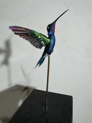 Colibri de barbijo