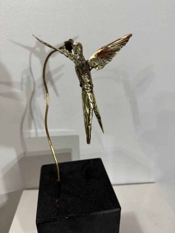 Colibri de cola larga en flor - Imagen 3