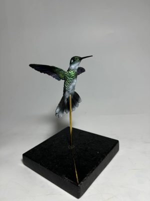 Colibri garganta blanca