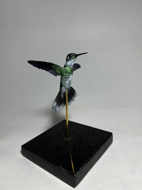 Colibri garganta blanca