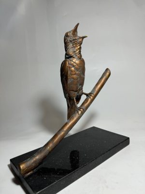 Pajaro campana