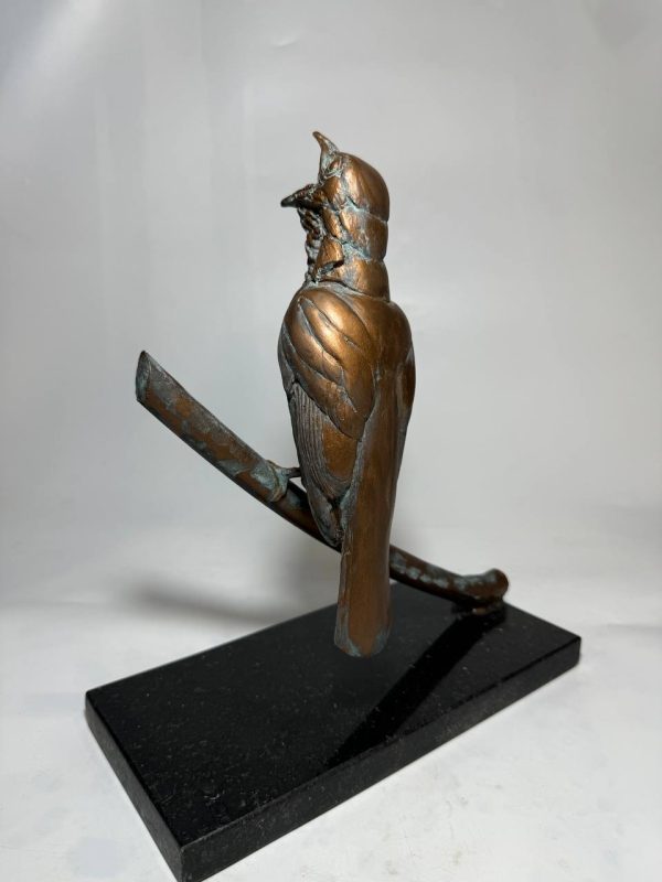 Pajaro campana - Imagen 4