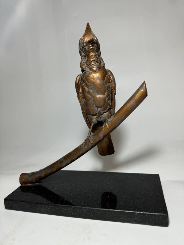 Pajaro campana - Imagen 2