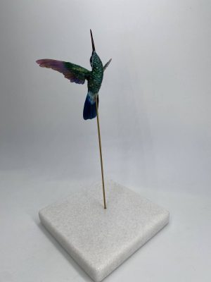 Colibri de antifaz