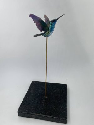 Colibri diamante azul