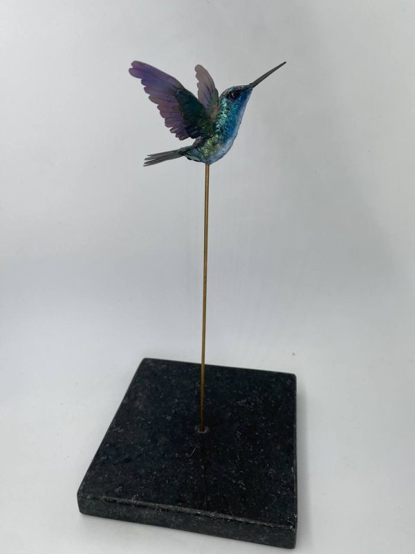Colibri diamante azul