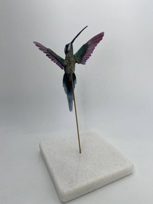 Colibri ermitaño escamado