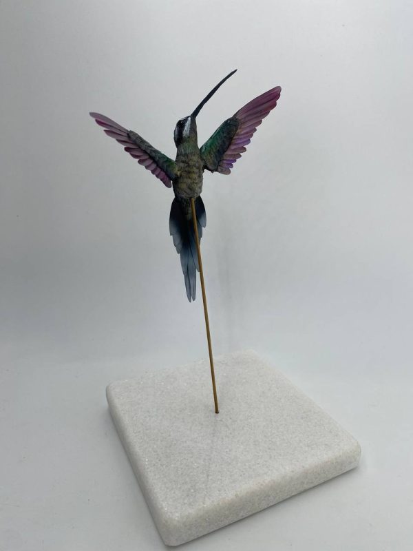 Colibri ermitaño escamado