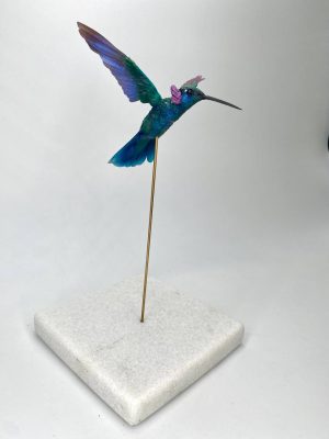 Colibri oreja violacea
