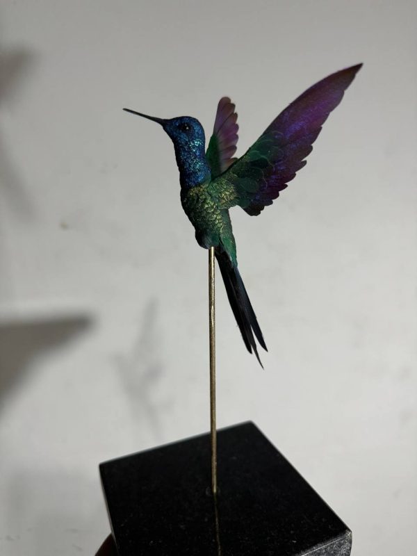 Colibri tijereta - Imagen 3