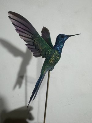 Colibri tijereta