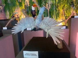 Pajaro campana escala real plumas laminadas