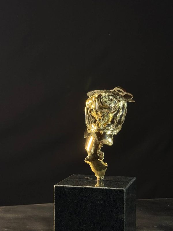 Busto águila Harpia en bronce , técnica de espejado hecho a escala real - Imagen 4